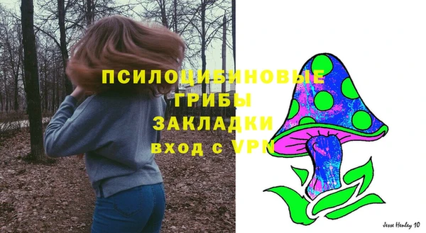 кокс Козловка