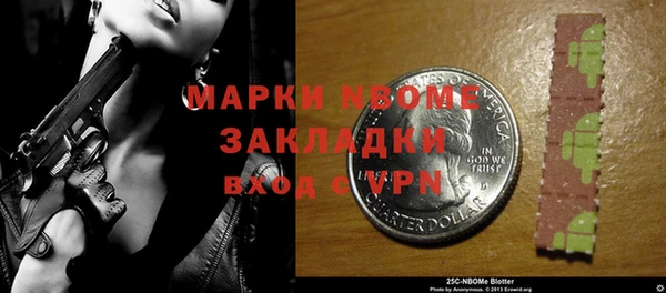 хмурый Кодинск