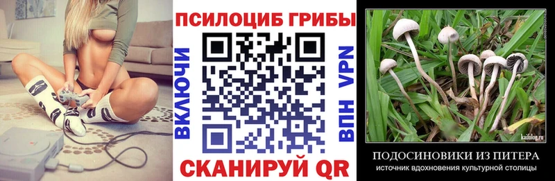 Галлюциногенные грибы Psilocybine cubensis  Кировград 